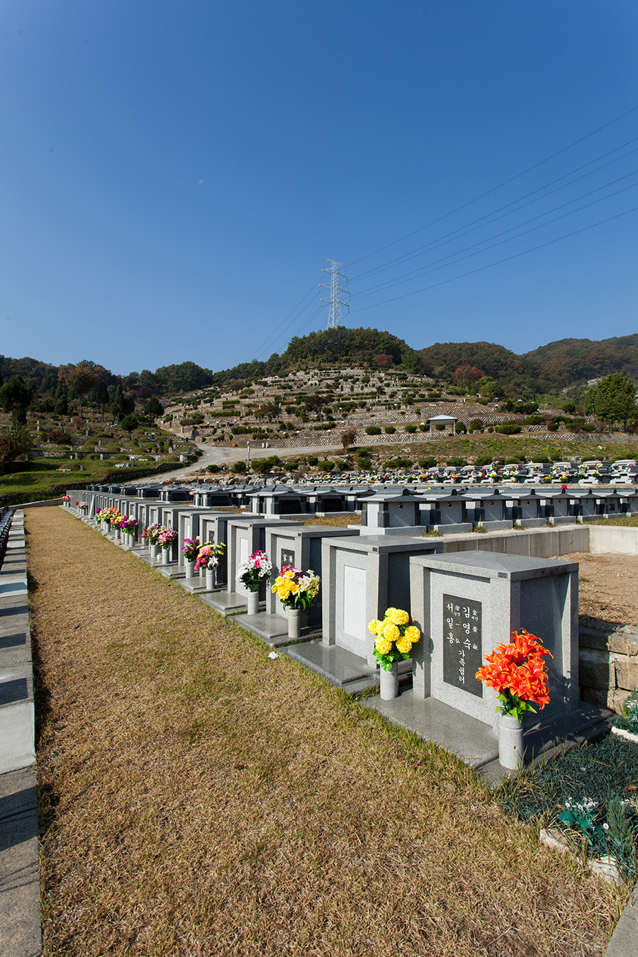 [경기 용인시]중앙장의사, 031-335-4444, 0313354444, 장의사 | No.1 전화번호검색 - 114On