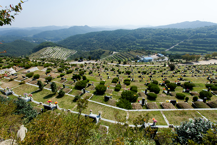 [경기 용인시]중앙장의사, 031-335-4444, 0313354444, 장의사 | No.1 전화번호검색 - 114On